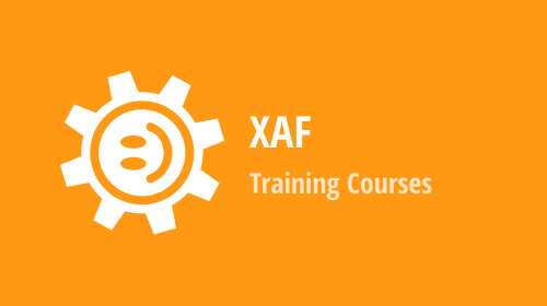 XAF — World Training Tour by Xari to Master DevExpress .NET Application Framework